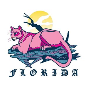 Team Page: Panthers for Pleasure